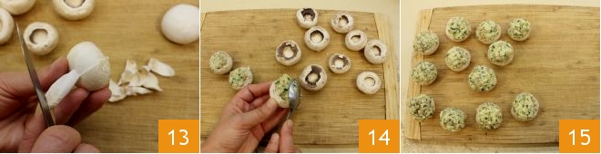 993_teste_champignon_giusta_strip_13-15