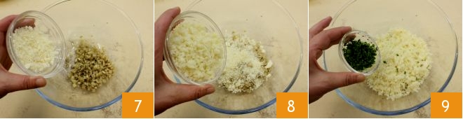 993_teste_champignon_giusta_strip_7-9