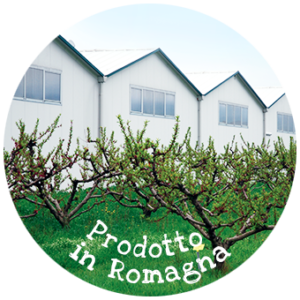 fungocesena_azienda_img_