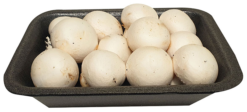 fungocesena_prodotti_champignon_cesena_baby_250_grammi