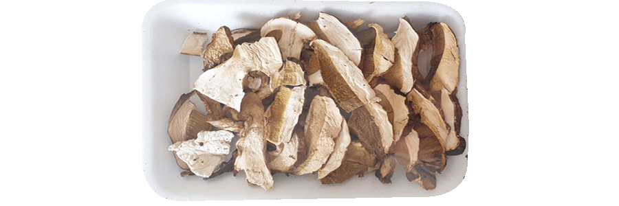 Funghi di Bosco e Tartufi