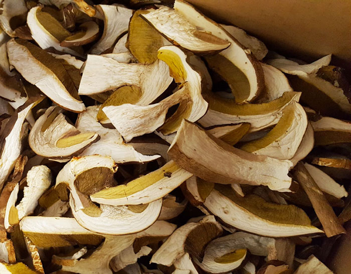 fungocesena_prodotti_funghi_bosco_porcini_secchi_sfusi