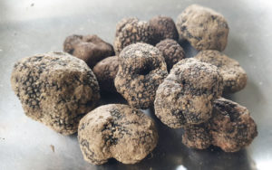 fungocesena_prodotti_funghi_bosco_tartufo_nero