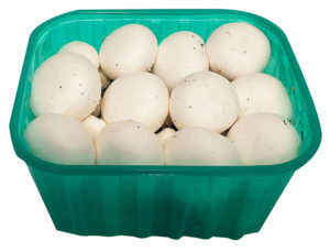 fungocesena_prodotti_funghi_coltivati_champignon_350_grammi