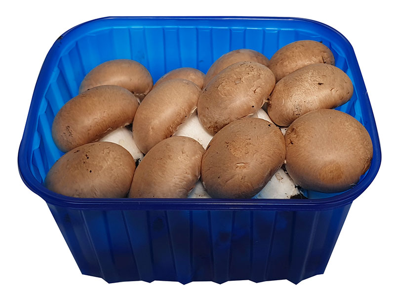 fungocesena_prodotti_funghi_coltivati_crema_confezionati