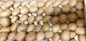 fungocesena_prodotti_funghi_coltivati_crema_sfusi