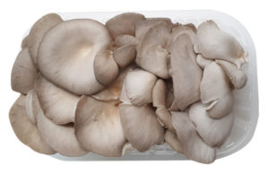fungocesena_prodotti_funghi_coltivati_pleurotus_confezionati