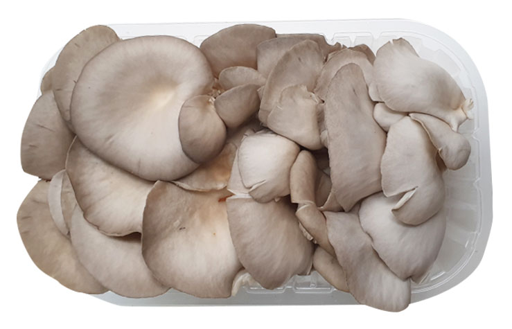 fungocesena_prodotti_funghi_coltivati_pleurotus_confezionati