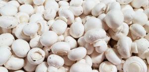 fungocesena_prodotti_funghi_trasformati_champignon_sgambati