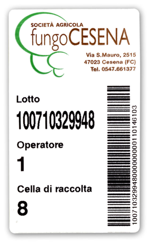 Fungo Cesena – Coltiviamo con passione