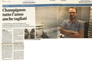 fungo_cesena_corriere_romagna_08_07_18