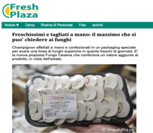 fungo_cesena_freshplaza_06_06_19