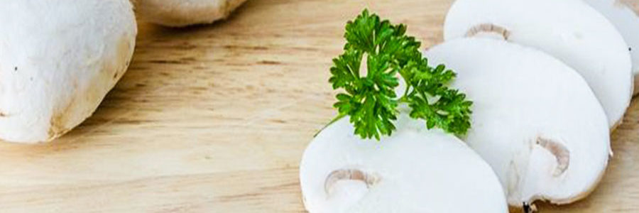 Come cucinare i Funghi Champignon Freschi