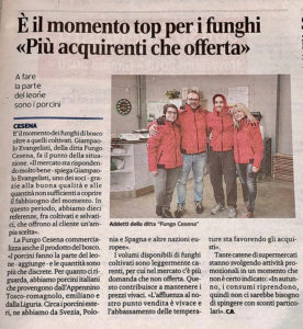 fungo_cesena_corriere_romagna_03_11_19